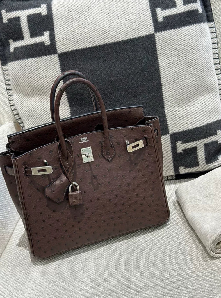 Preloved Birkin 25 Chocolate Ostrich Palladium Hardware