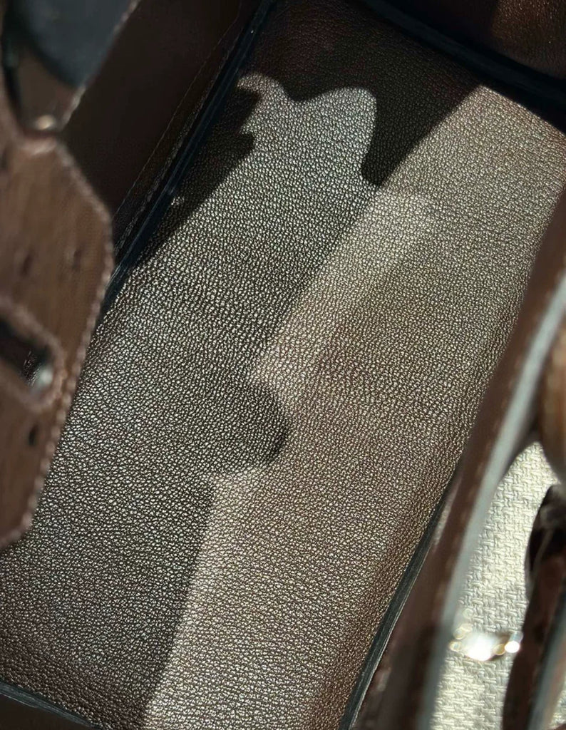 Preloved Birkin 25 Chocolate Ostrich Palladium Hardware