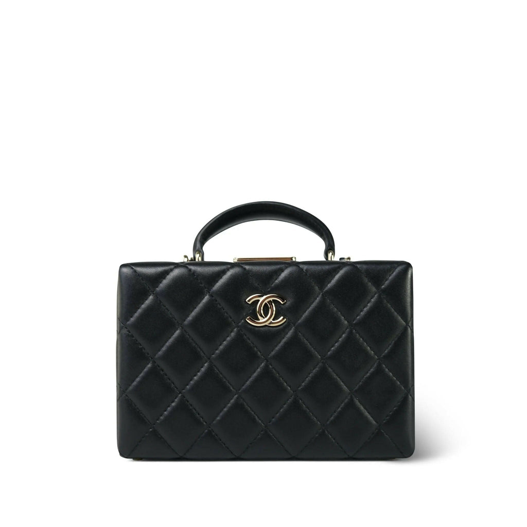 Chanel Cruise 2024 Small Quilted Lambskin Box Bag