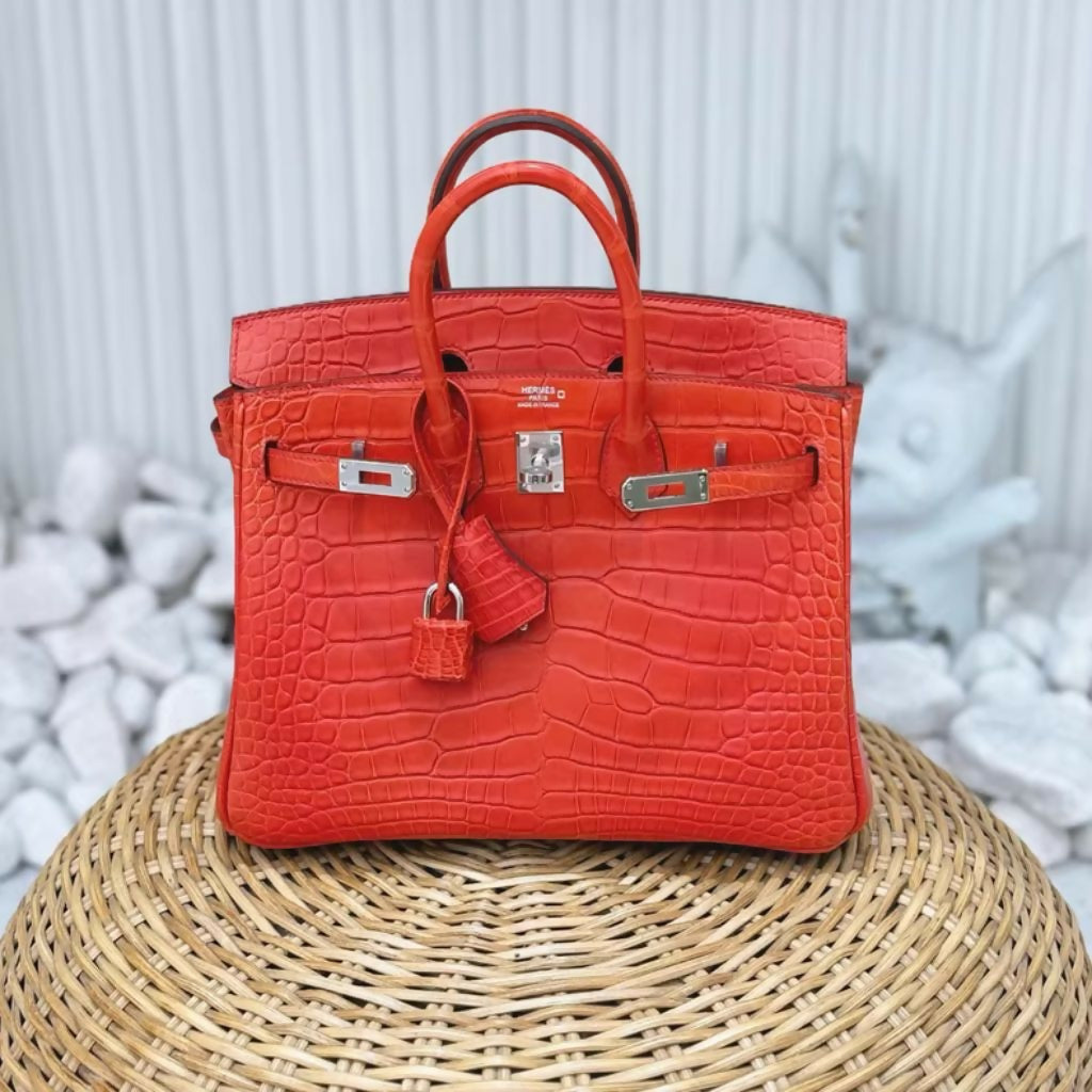 Hermès Birkin 25 Red Matte Crocodile Leather Palladium Hardware