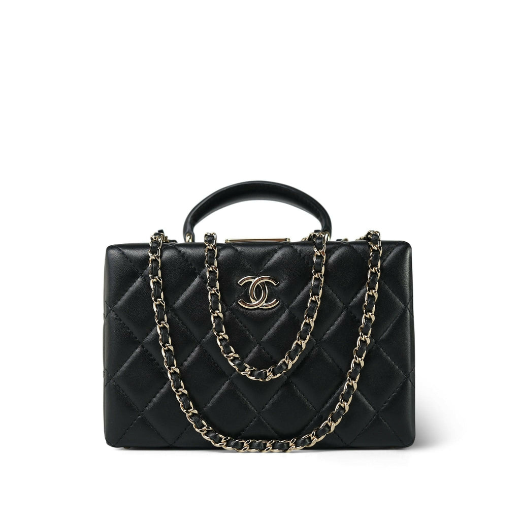 Chanel Cruise 2024 Small Quilted Lambskin Box Bag