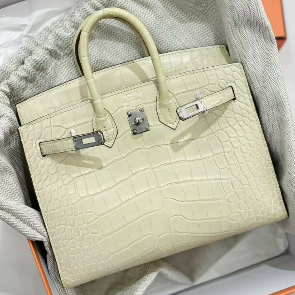 Hermes Birkin 20 Y1 Vanille Matte Crocodile Leather Palladium Hardware