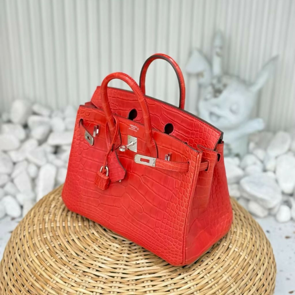 Hermès Birkin 25 Red Matte Crocodile Leather Palladium Hardware